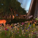 Thumb 5508185ff8a1ec606d000001