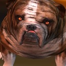 Thumb 551cd162a73e217d99000001