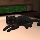 Thumb 551d453a128cc90b03000001