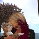 Thumb 552139cdf8a1ec08ee000001