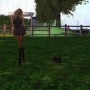 Thumb 5530f69fa73e2123e7000001