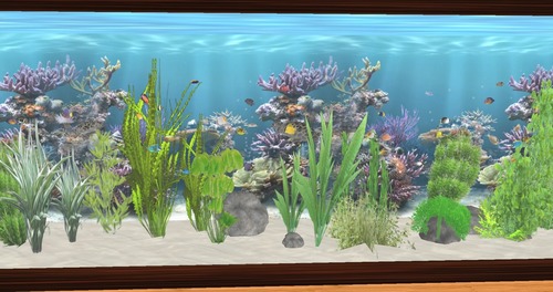 Web 550e5af5128cc943fd000001