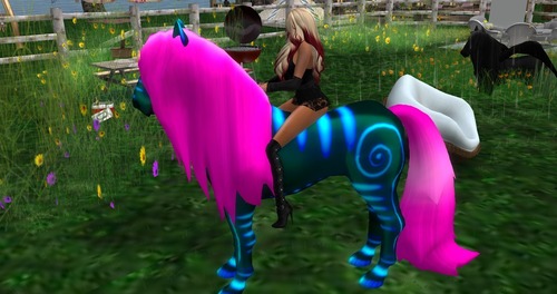 Web 5517e7b6128cc93f73000001