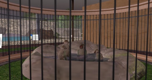 Web 552dce42a73e213986000001