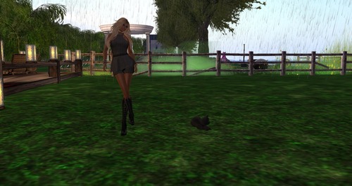 Web 5530f69fa73e2123e7000001