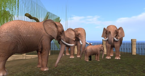 Web 55334d5df8a1ec153e000001