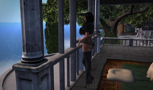 Web 5db08691d9859c086c000001