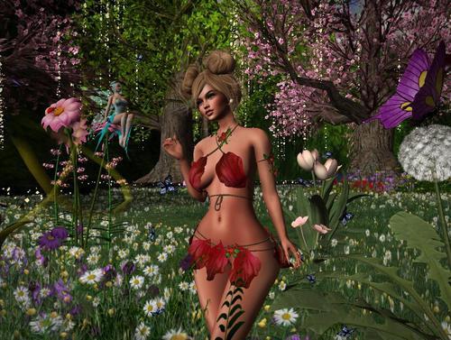 Web 5e734cff73ed172ccd6ecce2