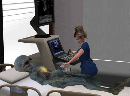 Web 66dc1a6a6e233a416030c087