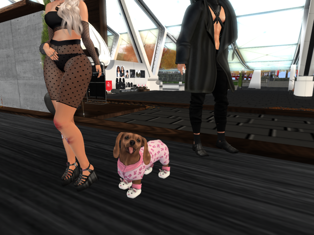 Original 6152e4df3cba3c6251f3db39