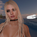 Thumb 63f9e29aef94cc0f5acb81b8