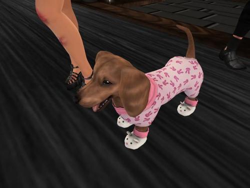 Web 6152e5005c4aff4190ff7eba