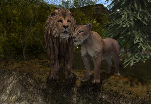 Web 5a0e04d6d9859c15b9000001