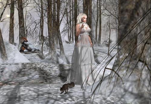 Web 5a185dfa73ed17359b000001