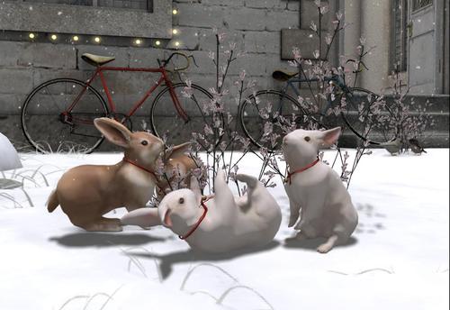 Web 5a18872873ed174394000001