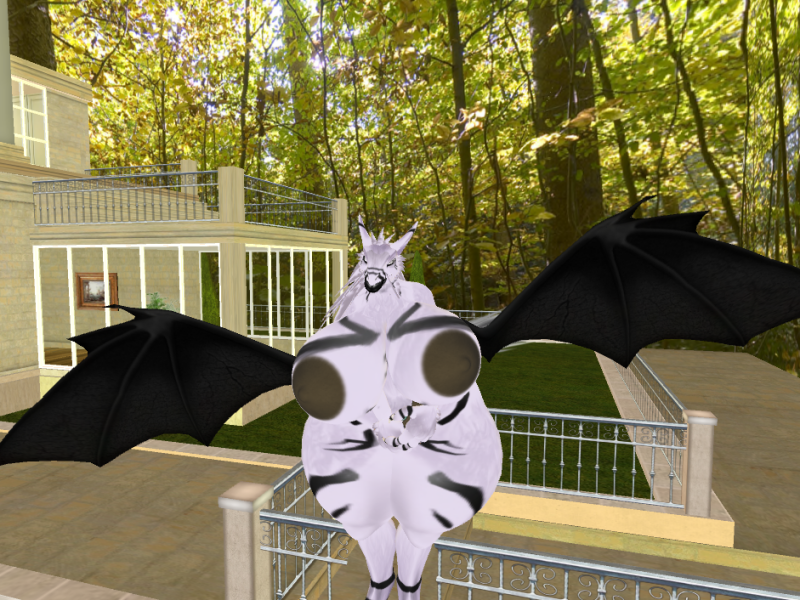 Original 56e5c65bf8a1ec30a2000001