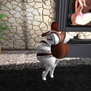 Thumb 565f37499934e02f58000001