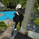 Thumb 56e46849e85cda155c000001