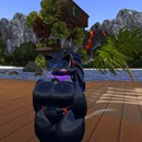 Thumb 56e472169934e060cf000001