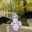 Thumb 56e5c65bf8a1ec30a2000001