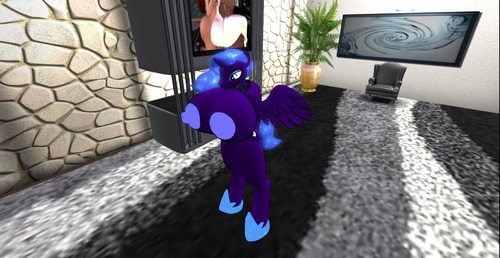 Web 565f3bd4f8a1ec65f7000001