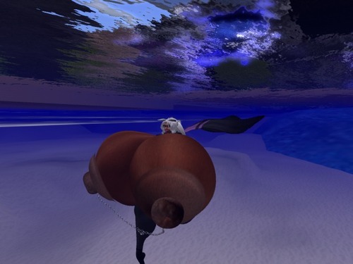 Web 56e469ebe85cda20dc000001