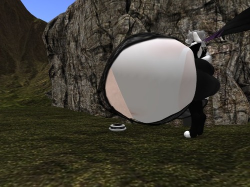 Web 56e46b6ee85cda3186000001