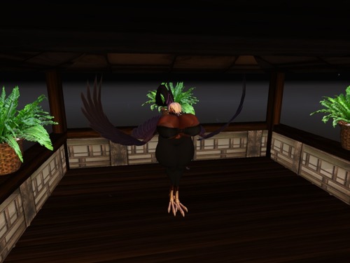 Web 56e4dca89934e037bd000001