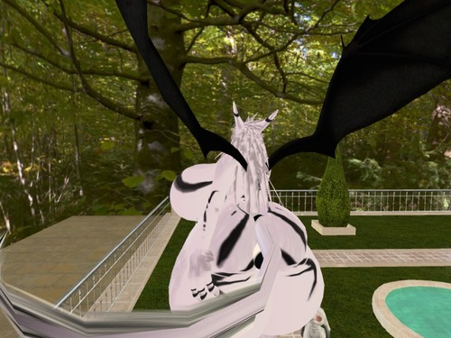 Web 56e5c68df8a1ec33d4000001