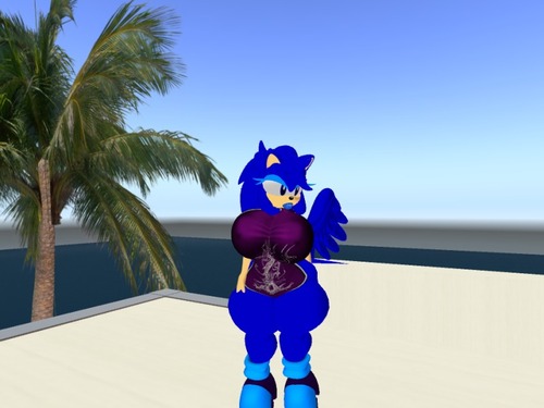 Web 56f53a46e85cda7e17000001