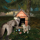 Thumb 634cf5eb31b4d8559e959694