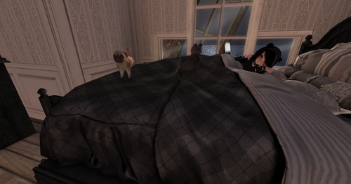 Web 55d3ec64a73e215b63000001