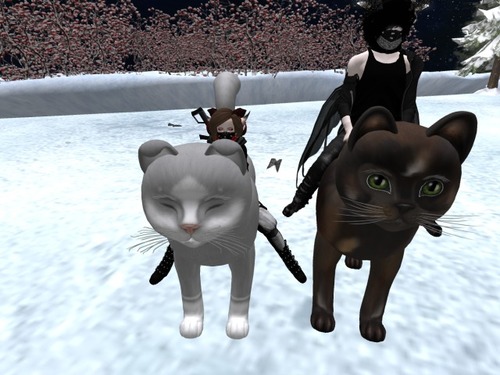 Web 57c919b4b713f772c9000001