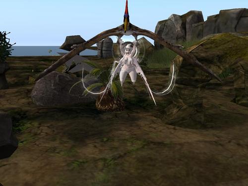 Web 5d0444d173ed171577000001