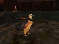 Small 57252cec9934e0179e000001