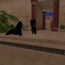 Thumb 57229b95f8a1ec776e000001