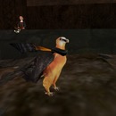 Thumb 57252cec9934e0179e000001