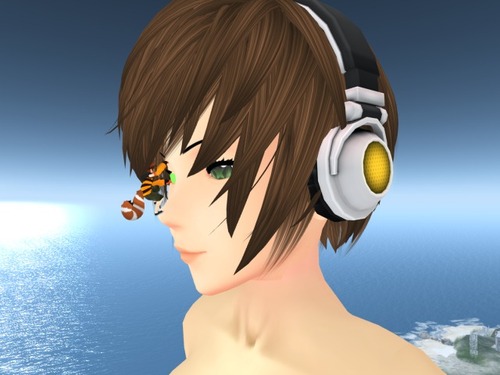 Web 56493ed6128cc9631d000001