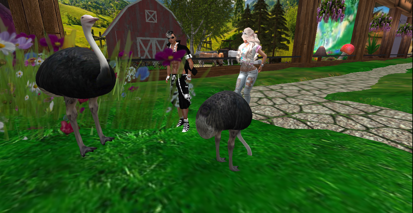 Original 5596ea98a73e217ded000001