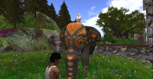 Web 5596dec8f8a1ec30f9000001