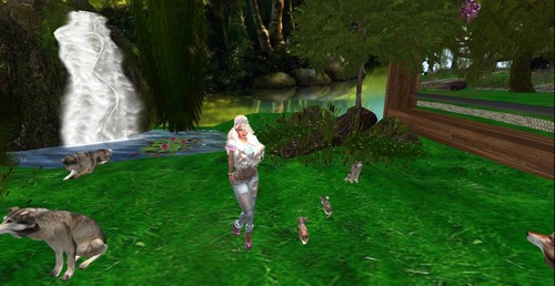 Web 5596e2acf8a1ec4edf000001