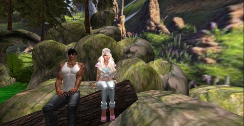 Web 5596e3dc128cc90c35000001