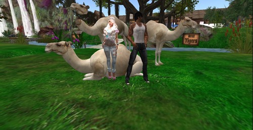 Web 5596e522f8a1ec5f8f000001