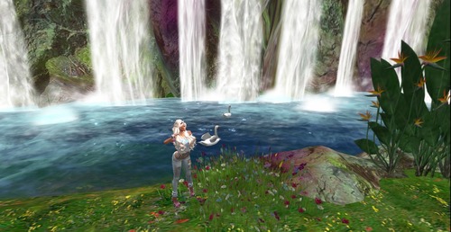 Web 5596e8c2a73e217197000001