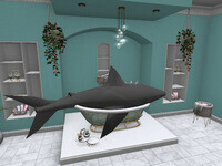 Small 65890977091723623563e925