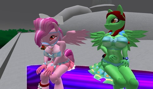 Web 54cdc07f8da5722387000001