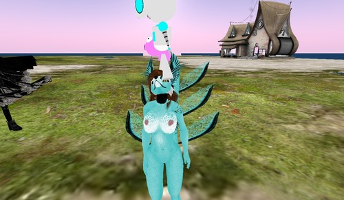 Web 551089d7a73e2155f6000001