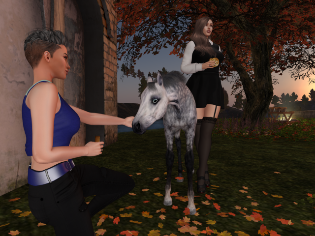 Original 631fd2c596292946774c3295