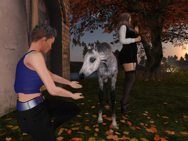 Original 631fd2fa9b6da338c1887c33