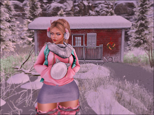 Web 67536ade67199b47ba9026f0